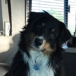 Meet your Posher, Drew